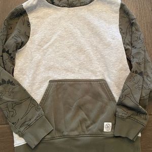 Dinosaur hooded sweatshirt